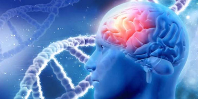 Alzheimer's Disease